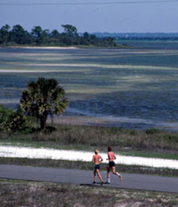People Jogging
