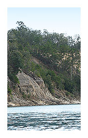 Apalachicola Bluff in Liberty County