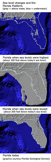 Sea Levels