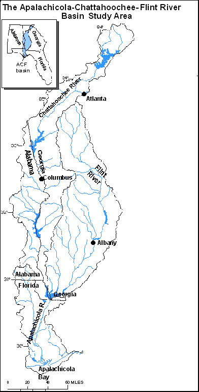 ACF Basin