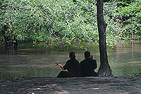 Watching river