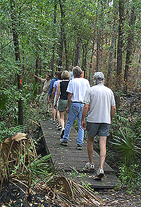 Hikers