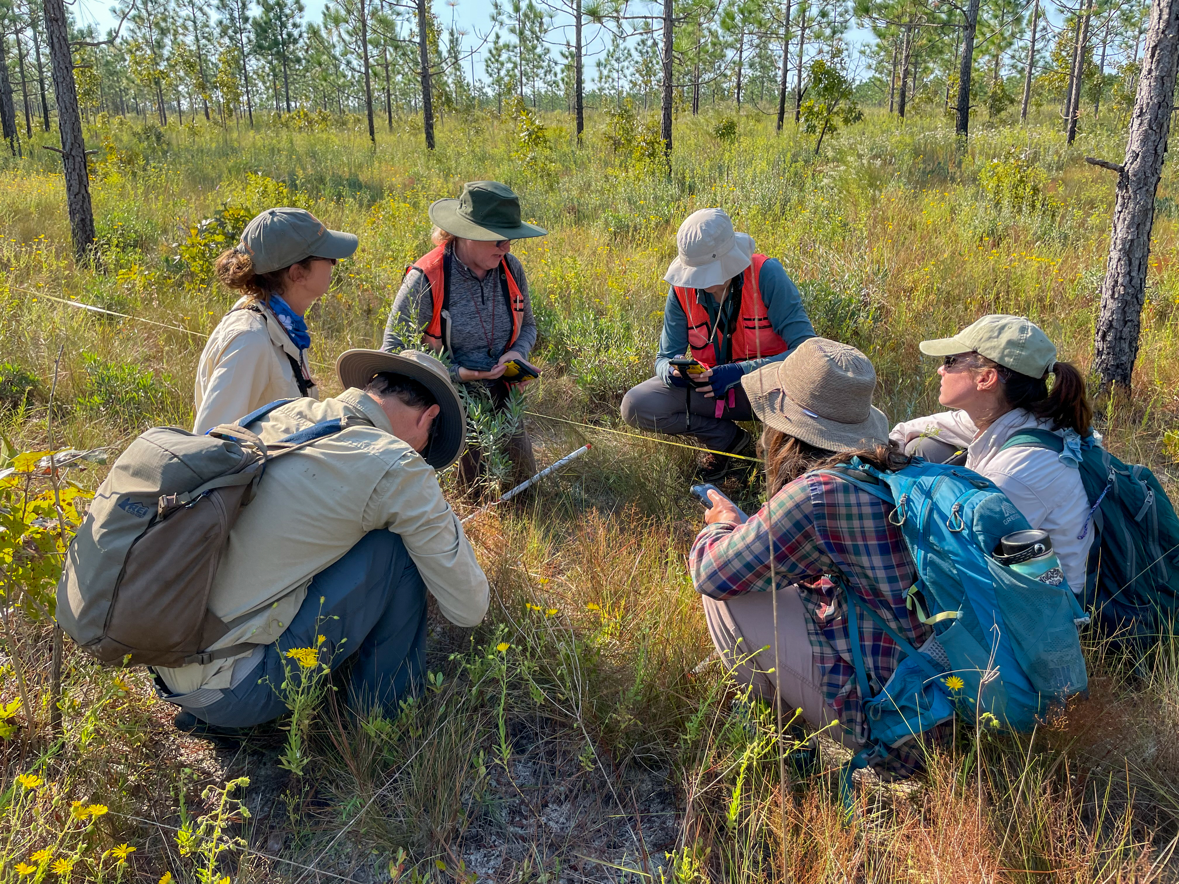 A group of field staff crouch in a circle in a forest clearing holding data loggers.