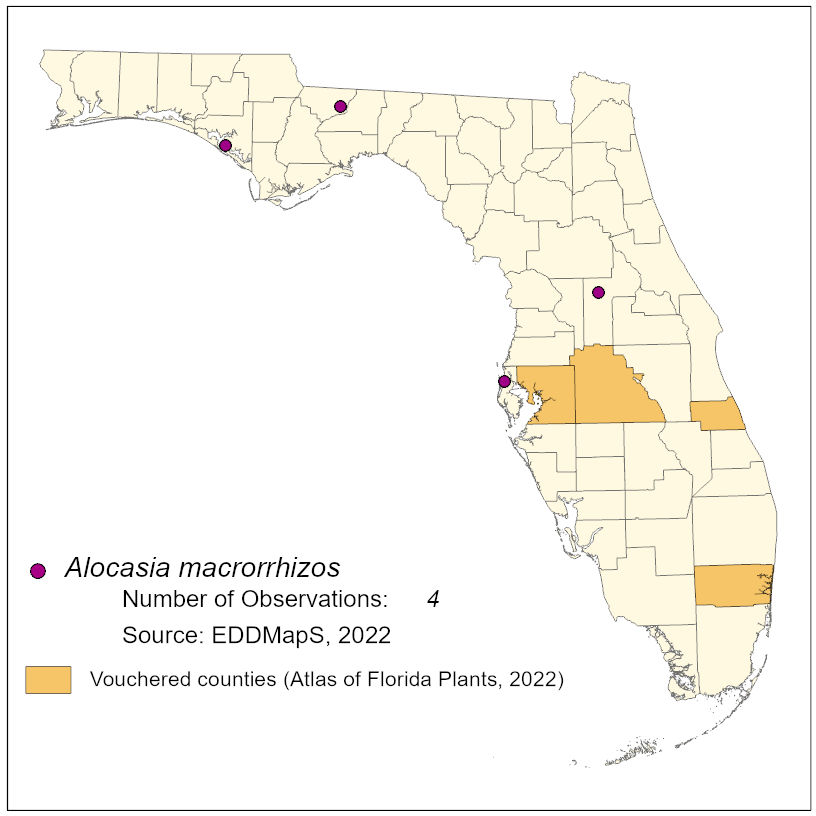 Map of species distribution