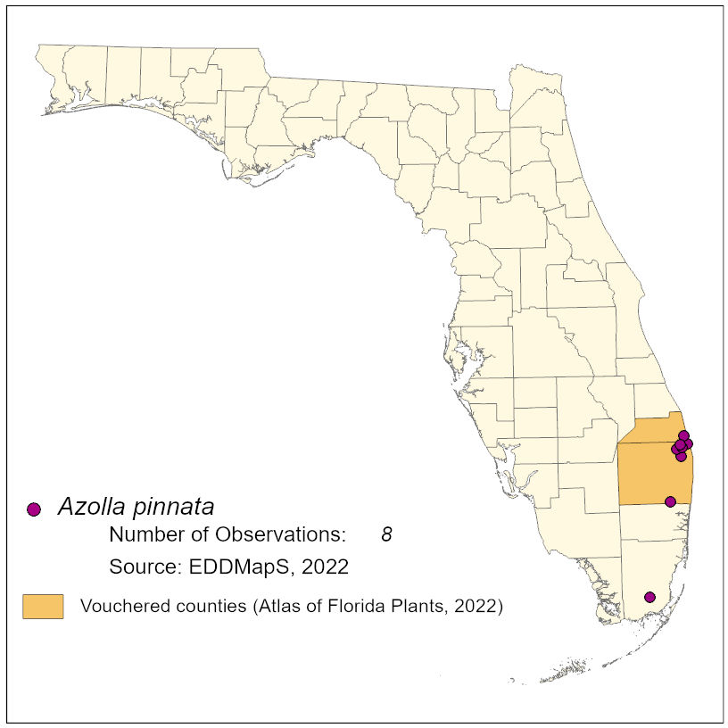 Map of species distribution