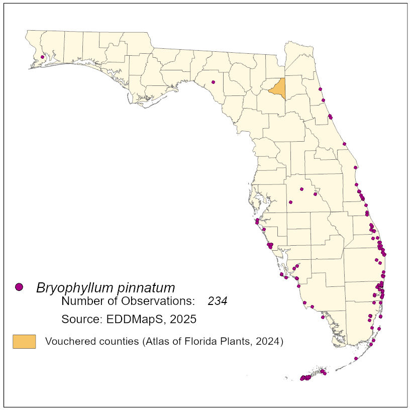 Map of species distribution