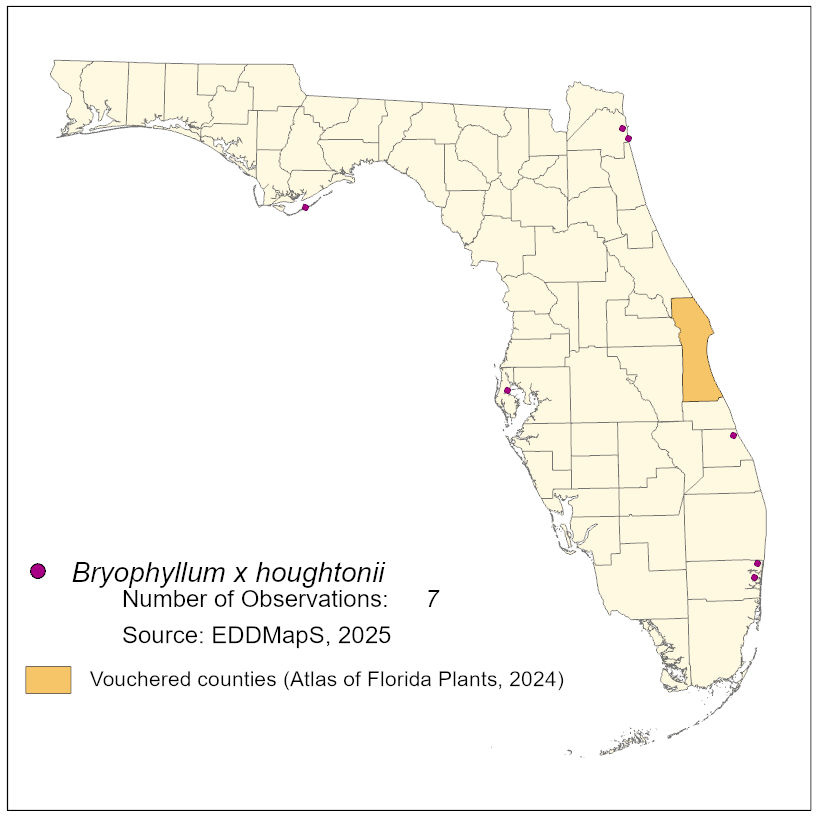 Map of species distribution
