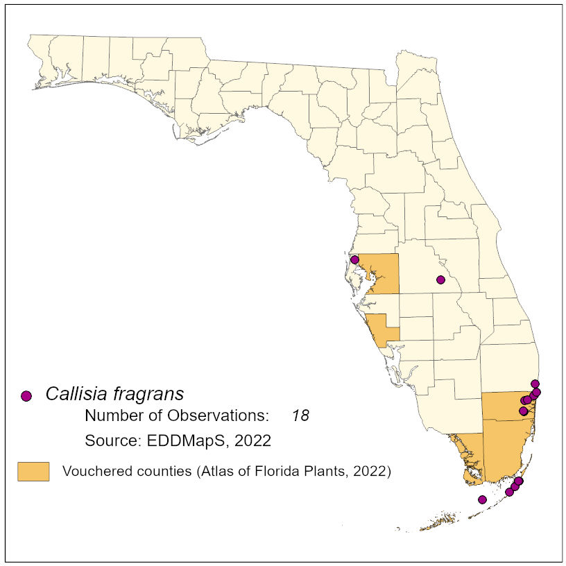 Map of species distribution