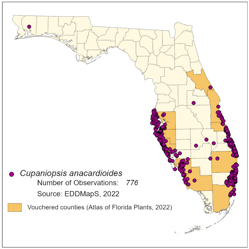 Map of species distribution