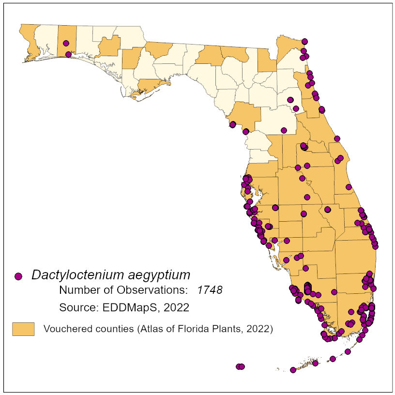 Map of species distribution