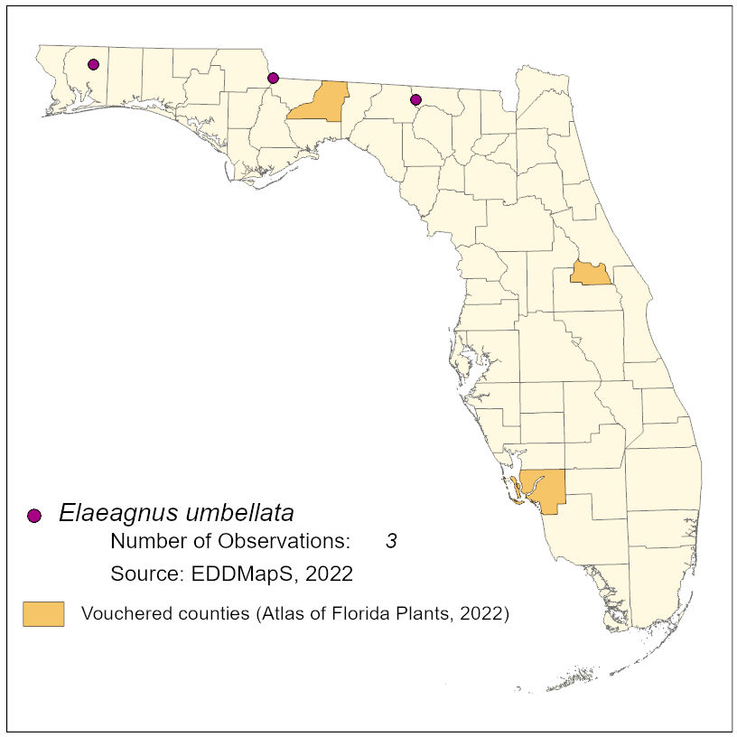 Map of species distribution