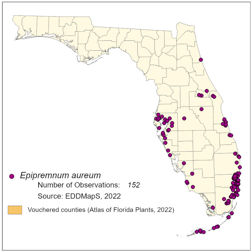 Map of species distribution