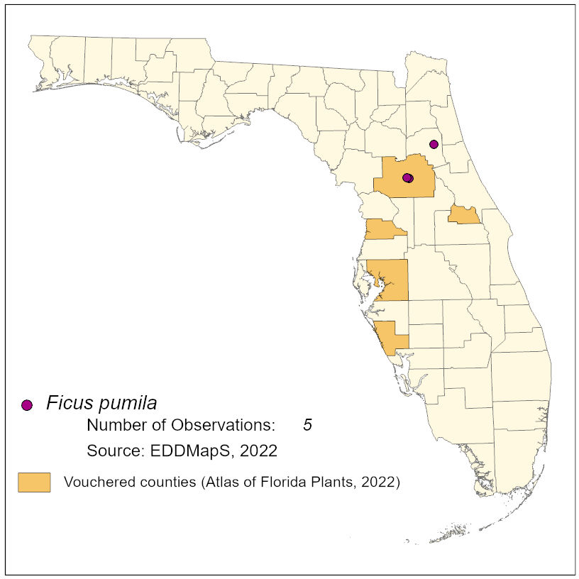 Map of species distribution