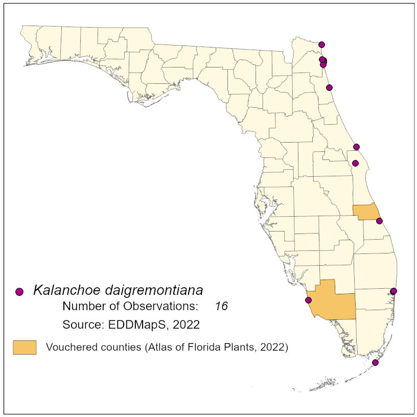 Map of species distribution