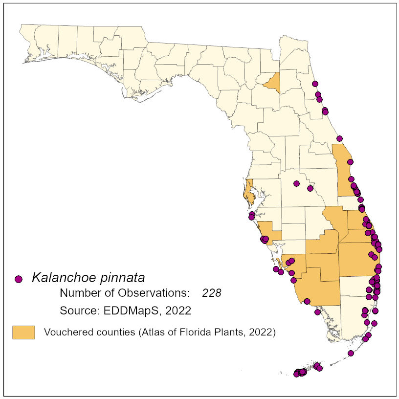 Map of species distribution