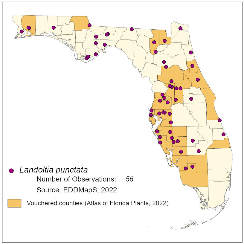 Map of species distribution