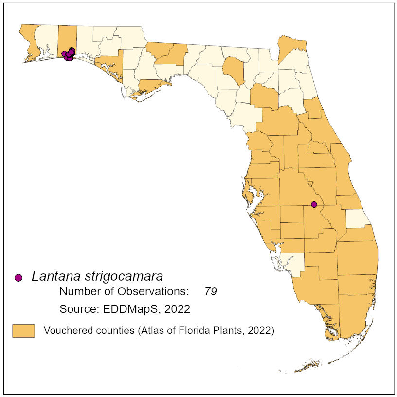 Map of species distribution