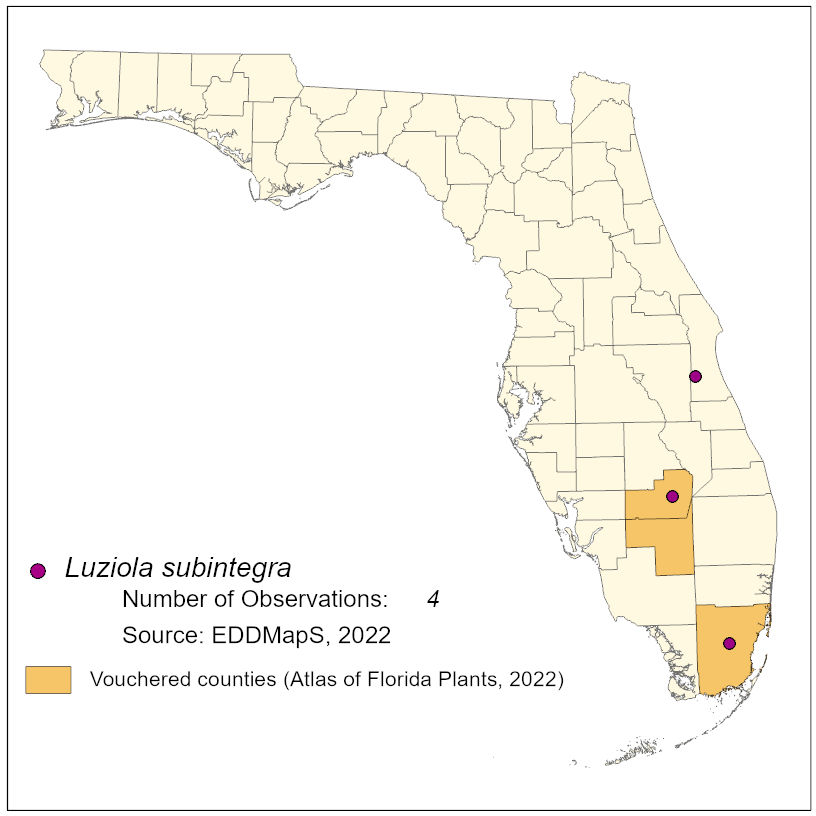 Map of species distribution