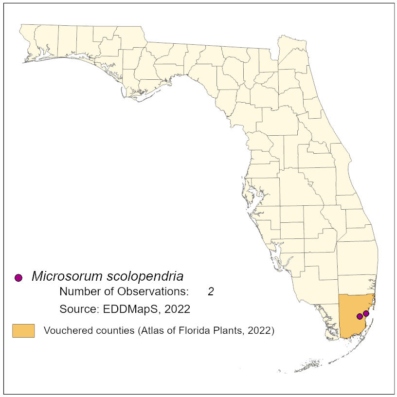 Map of species distribution