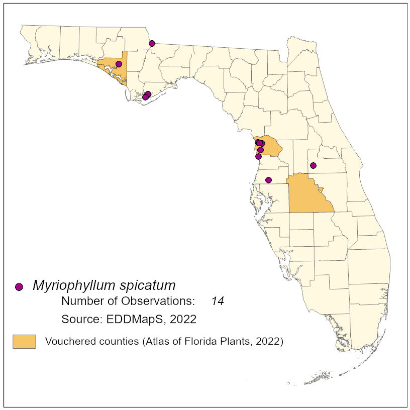 Map of species distribution