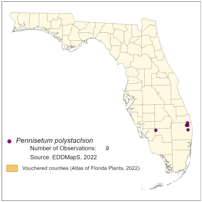 Map of species distribution