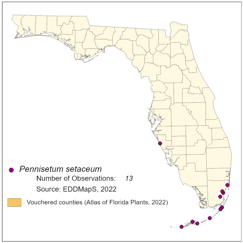 Map of species distribution