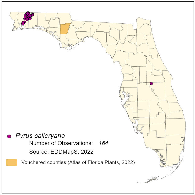 Map of species distribution