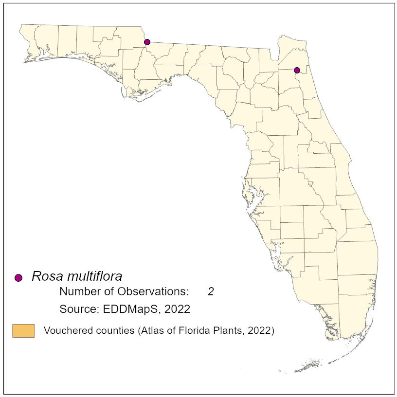 Map of species distribution