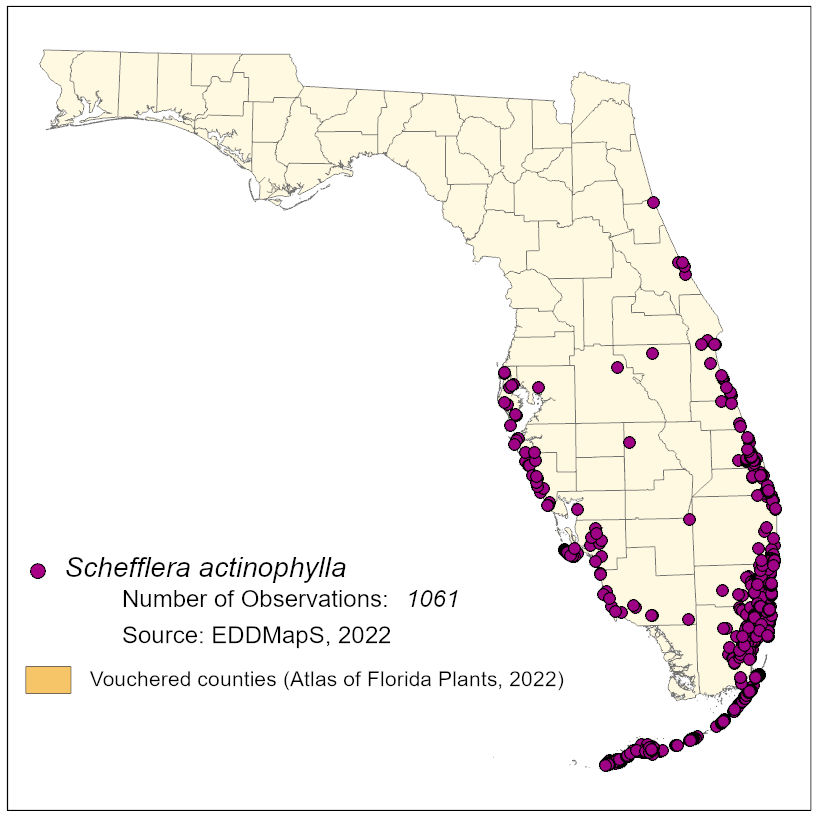 Map of species distribution