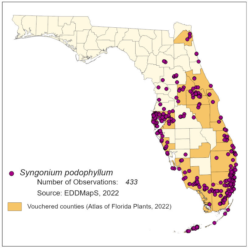 Map of species distribution