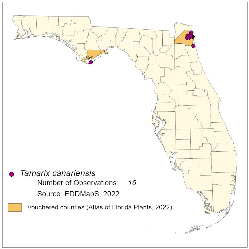 Map of species distribution