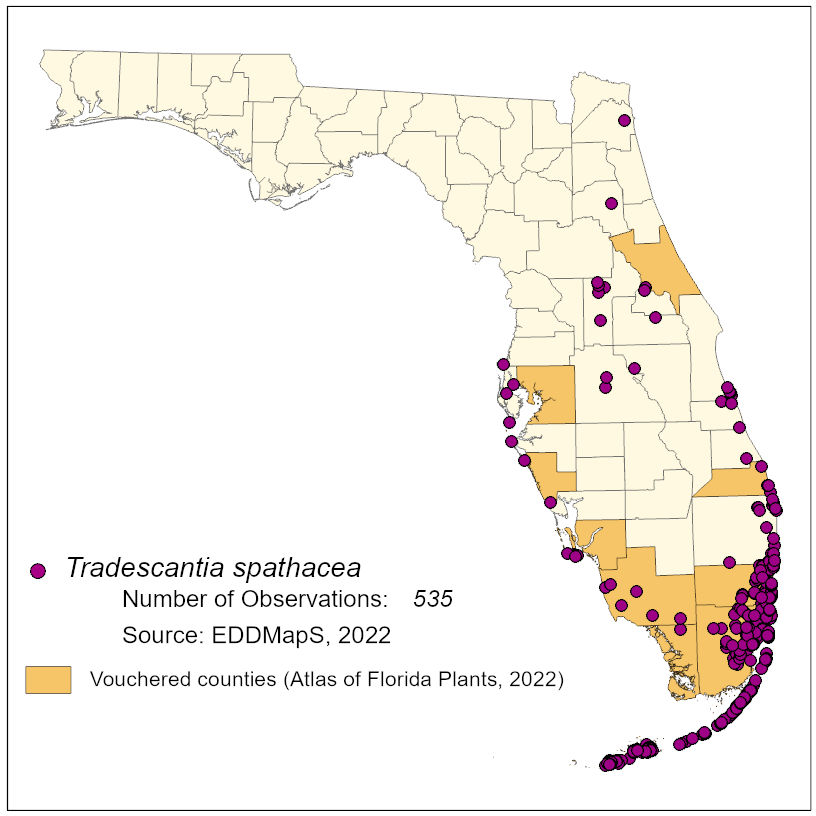 Map of species distribution