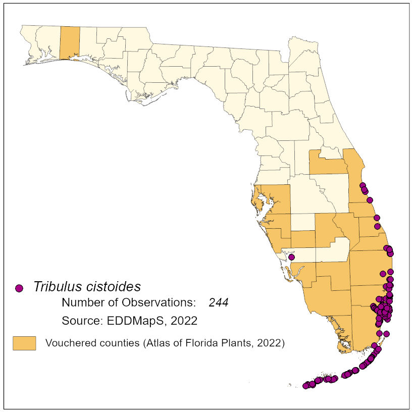 Map of species distribution