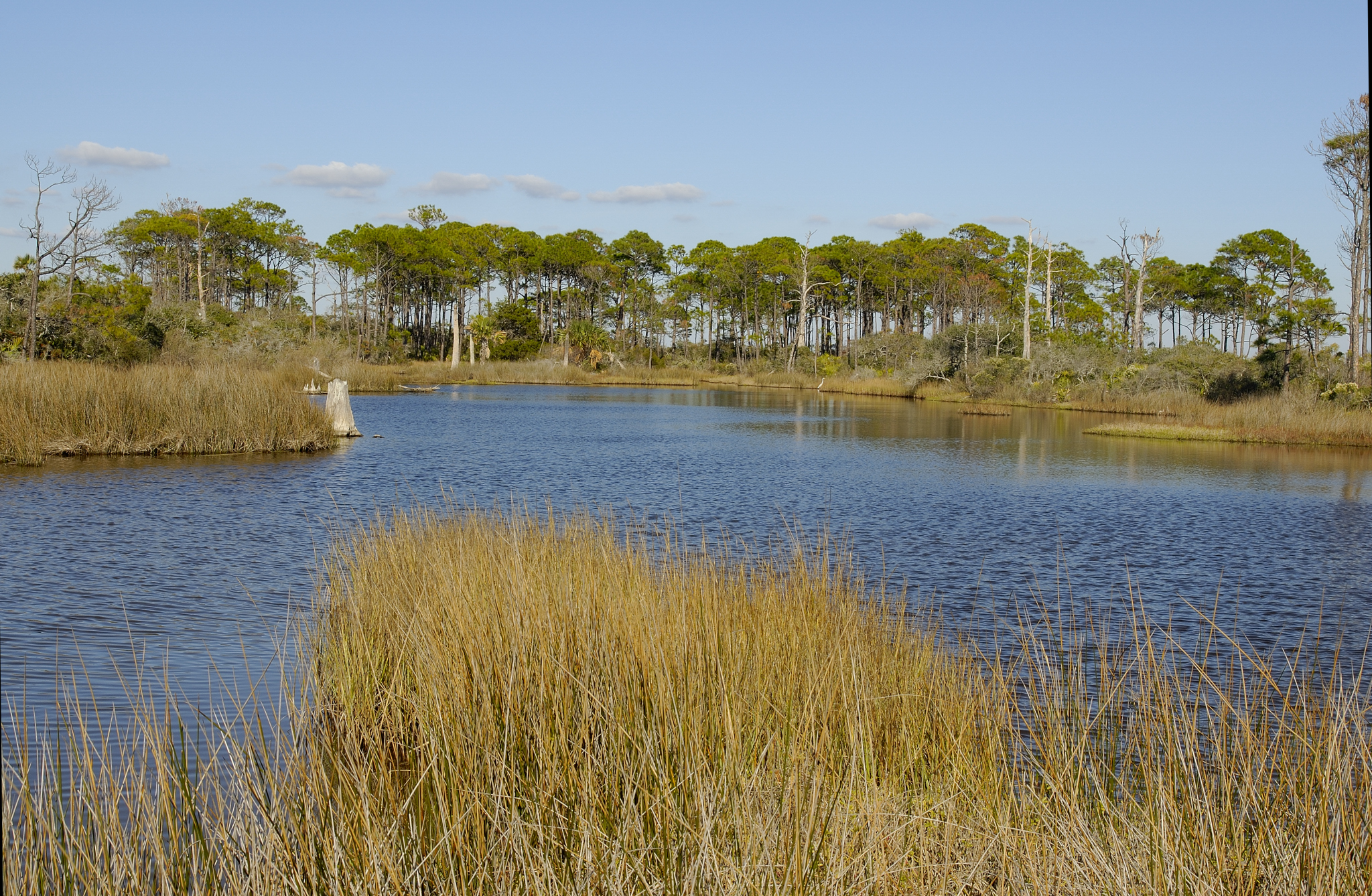 Landscape picture of St Joe Bay