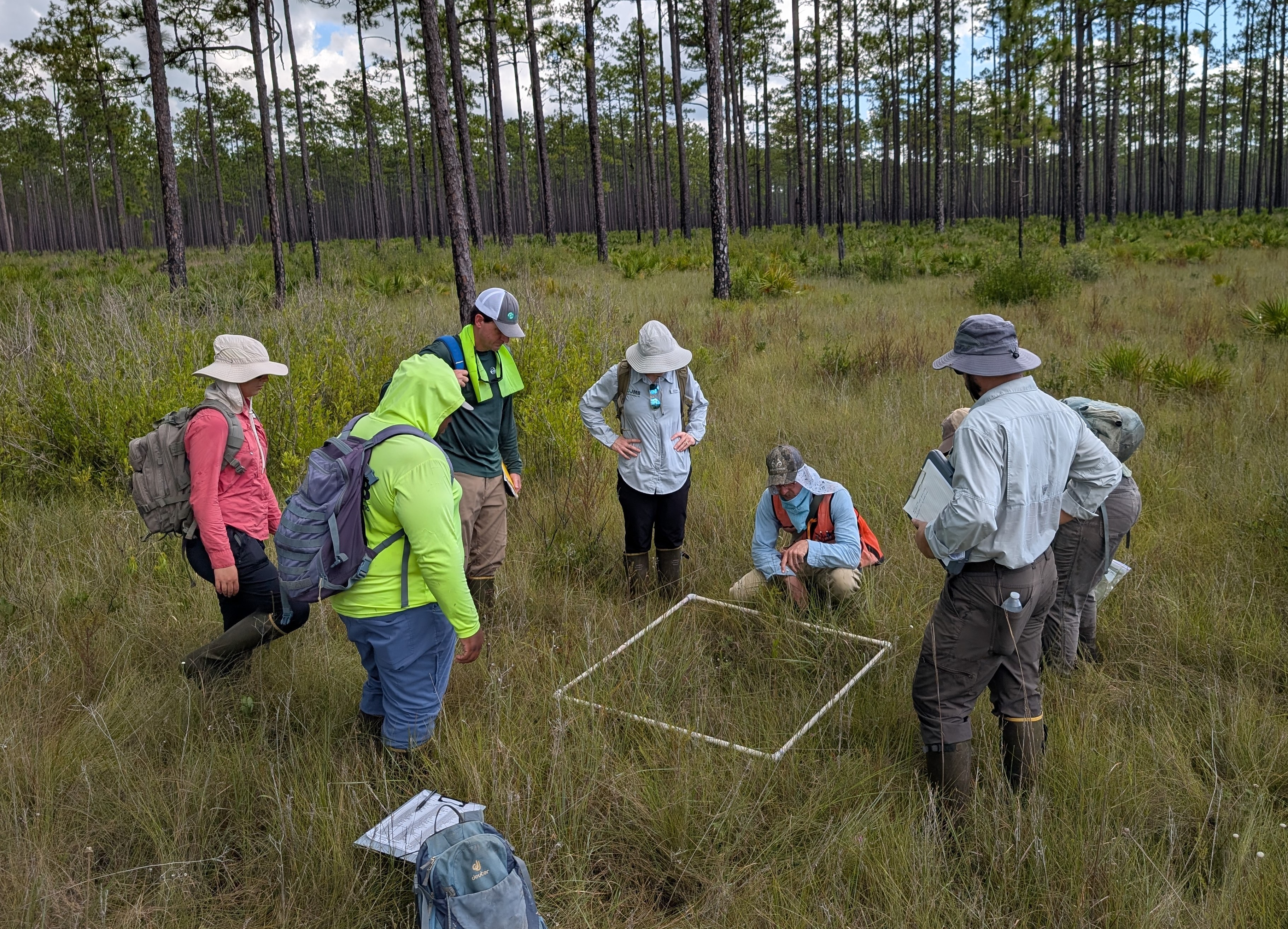 People in the field looking at a quadrant