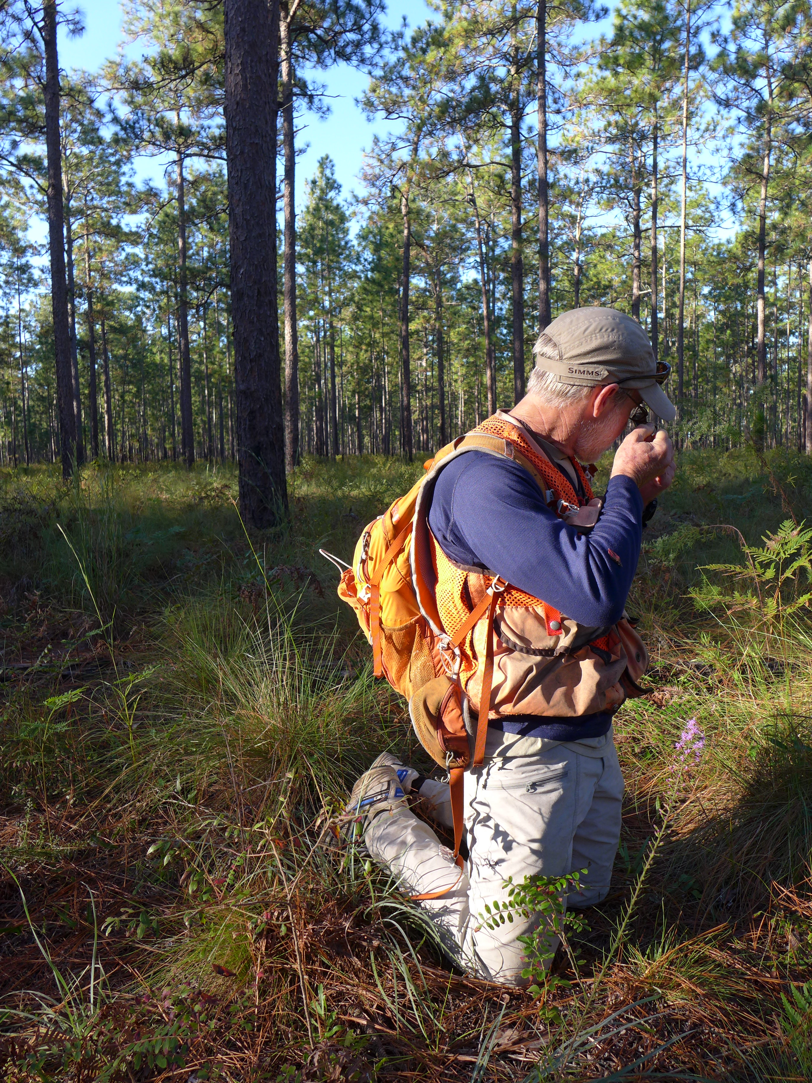 FNAI field staff