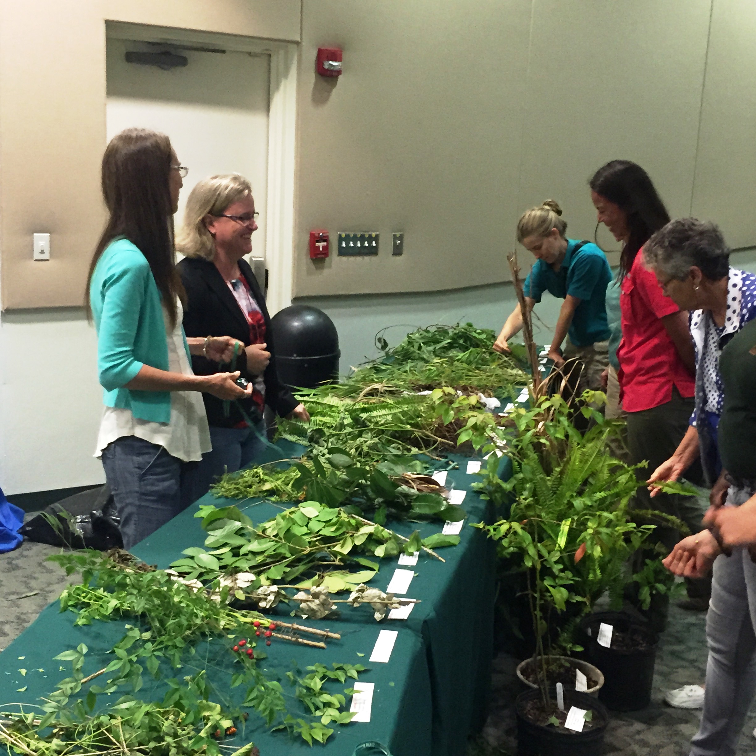 Women at a table with cuttings of invasive plants