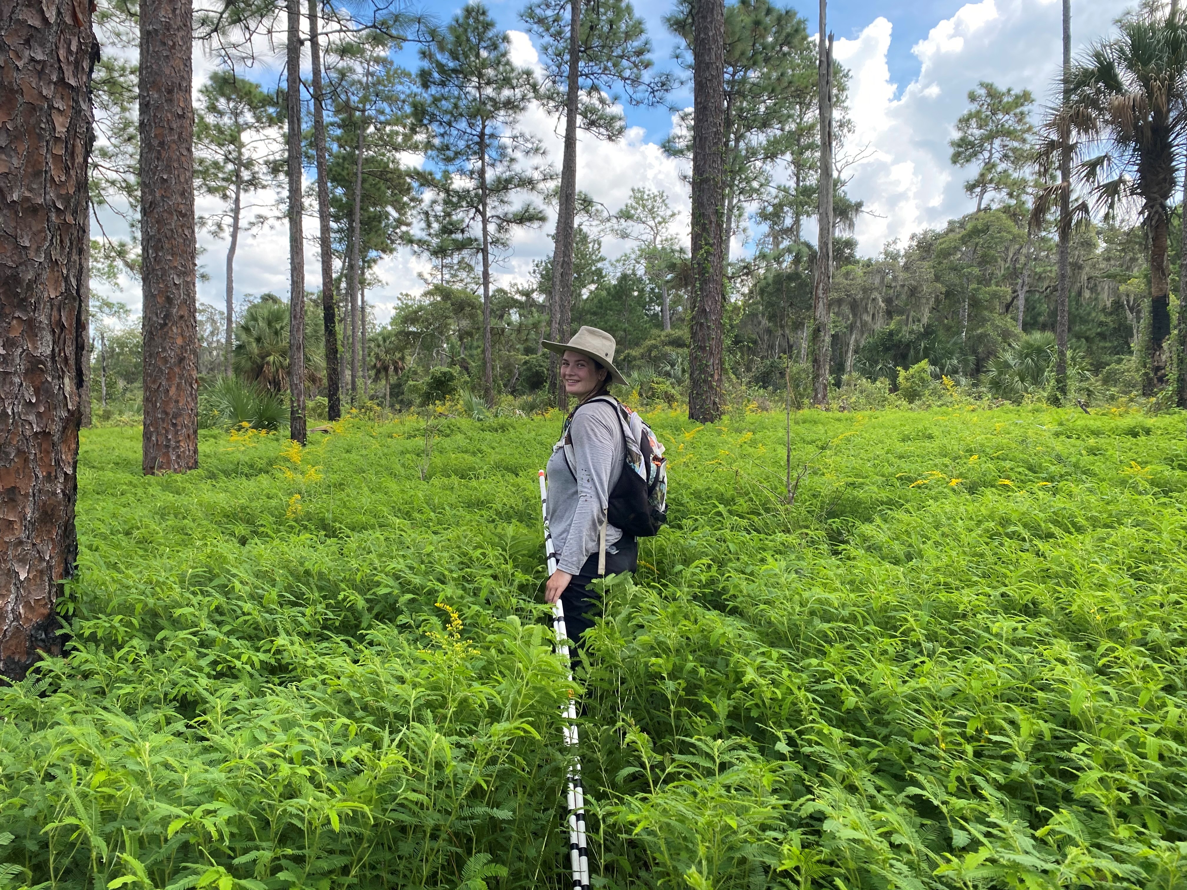 Field staff doing vegetation monitoring