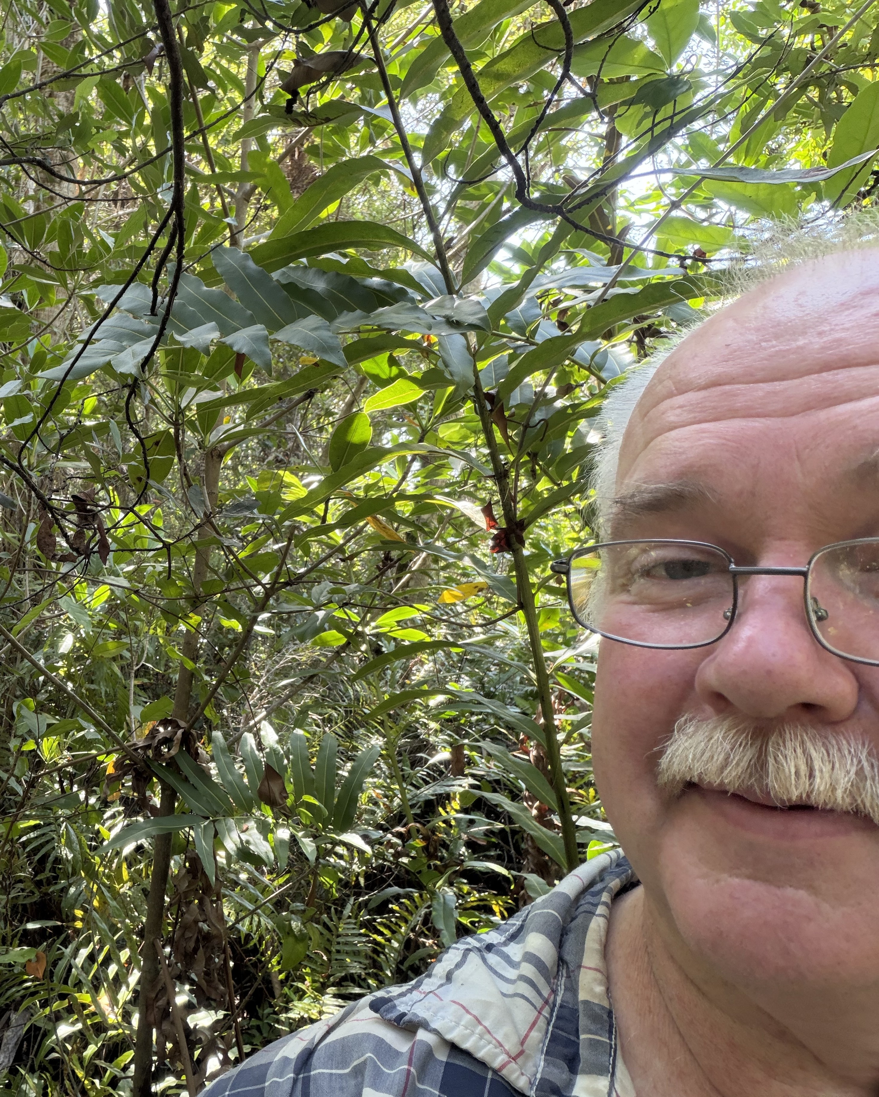 Close up Richard's face near a shrubby plant